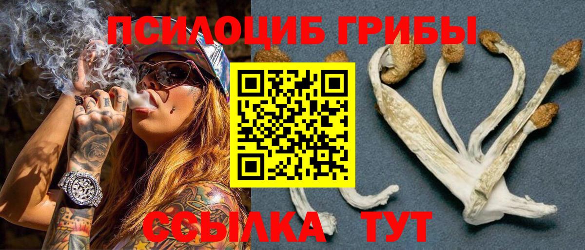 Ливны  Галлюциногенные грибы Magic Shrooms  Вход с VPN  Псилоцибиновые грибы Magic Shrooms 
