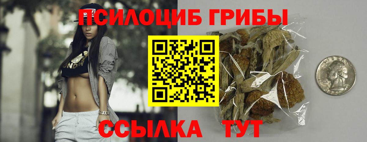 Галлюциногенные грибы Psilocybe Ливны